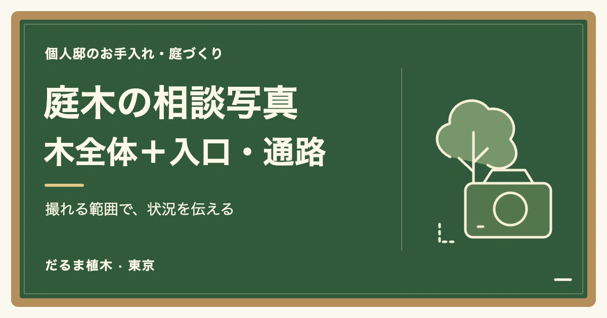庭木の相談写真 / 木全体＋入口・通路